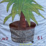 لیکاپون 5 لیتری ریز - Image 2