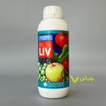 فروتالیو فیوچراکو فروغ دشت یک لیتری