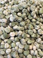 بذر نخود فرنگی پفکی رقم آسگرو F2 شرکت سمینیس آمریکا - Image 4