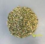 بذر نخود فرنگی پفکی رقم آسگرو F2 شرکت سمینیس آمریکا - Image 2