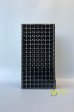 سینی نشا 128 حفره بزرگ