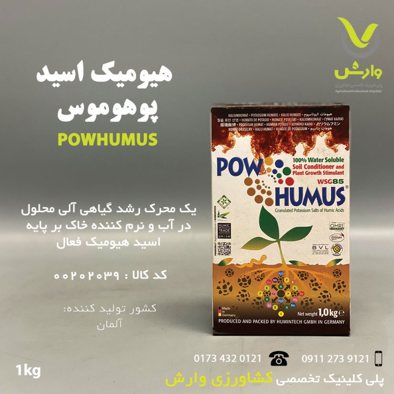 تصویر محصول پوهوموس یک کیلویی