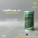 بذر چمن دایکوندرا ایتالیایی یک کیلویی
