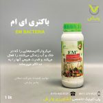 باکتری ای ام امکان پذیر پارس 1 لیتری