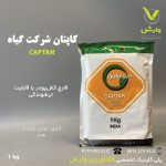 کاپتان وارداتی هندی گیاه یک کیلویی