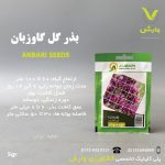 بذر گیاهان دارویی گل گاوزبان عنبری بسته بندی خانگی