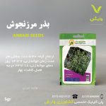 بذر گیاهان دارویی مرزنجوش عنبری بسته بندی خانگی