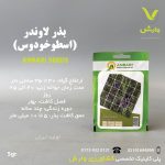بذر گیاه دارویی اسطوخودوس لاوندر عنبری بسته بندی خانگی