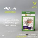 بذر گیاهان دارویی رازیانه عنبری بسته بندی خانگی