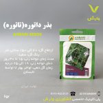 بذر گیاهان دارویی داتوره عنبری بسته بندی خانگی