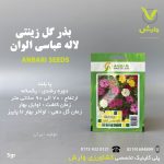 بذرگل لاله عباسی عنبری بسته بندی خانگی