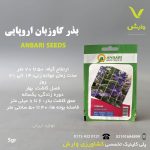 بذر گیاهان دارویی گل گاوزبان اروپایی عنبری بسته بندی خانگی