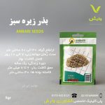 بذر گیاهان دارویی زیره سبز عنبری بسته بندی خانگی