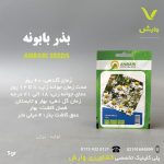 بذر گیاهان دارویی بابونه عنبری بسته بندی خانگی
