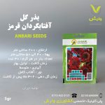 بذرگل افتابگردان قرمزعنبری بسته بندی خانگی