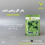 بذرگل شبدرعنبری بسته بندی خانگی
