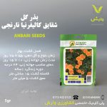 بذرگل شقایق کالیفرنیای عنبری بسته بندی خانگی