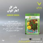 بذرگل آهار الوان عنبری بسته بندی خانگی