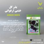 بذرگل ختمی ارغوانی عنبری بسته بندی خانگی