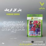 بذرگل کرچک  عنبری بسته بندی خانگی