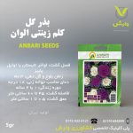 بذرگل کلم زینتی عنبری بسته بندی خانگی