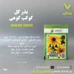 بذرگل کوکب کوهی عنبری بسته بندی خانگی