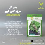 بذر گیاهان دارویی مریم گلی کبیرعنبری  بسته بندی خانگی