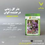 بذرگل درخشنده الوان عنبری بسته بندی خانگی