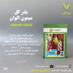 بذرگل میمون الوان عنبری بسته بندی خانگی
