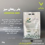 بذر ریحان سبز لورنزیا سید Lorenzia Seed