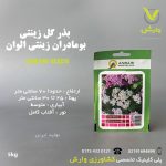 بذرگل بومادران عنبری بسته بندی خانگی