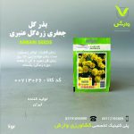 بذرگل جعفری زرد گل عنبری بسته بندی خانگی