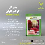 بذرگل کوکب الوان عنبری بسته بندی خانگی
