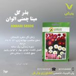 بذرگل مینا چمنی عنبری بسته بندی خانگی