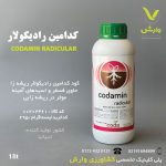 کدامین رادیکولار کدا اسپانیا 1 لیتری