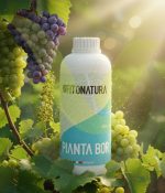 کود مایع فیتوناتورا پیانتابور 1 لیتری - Image 3