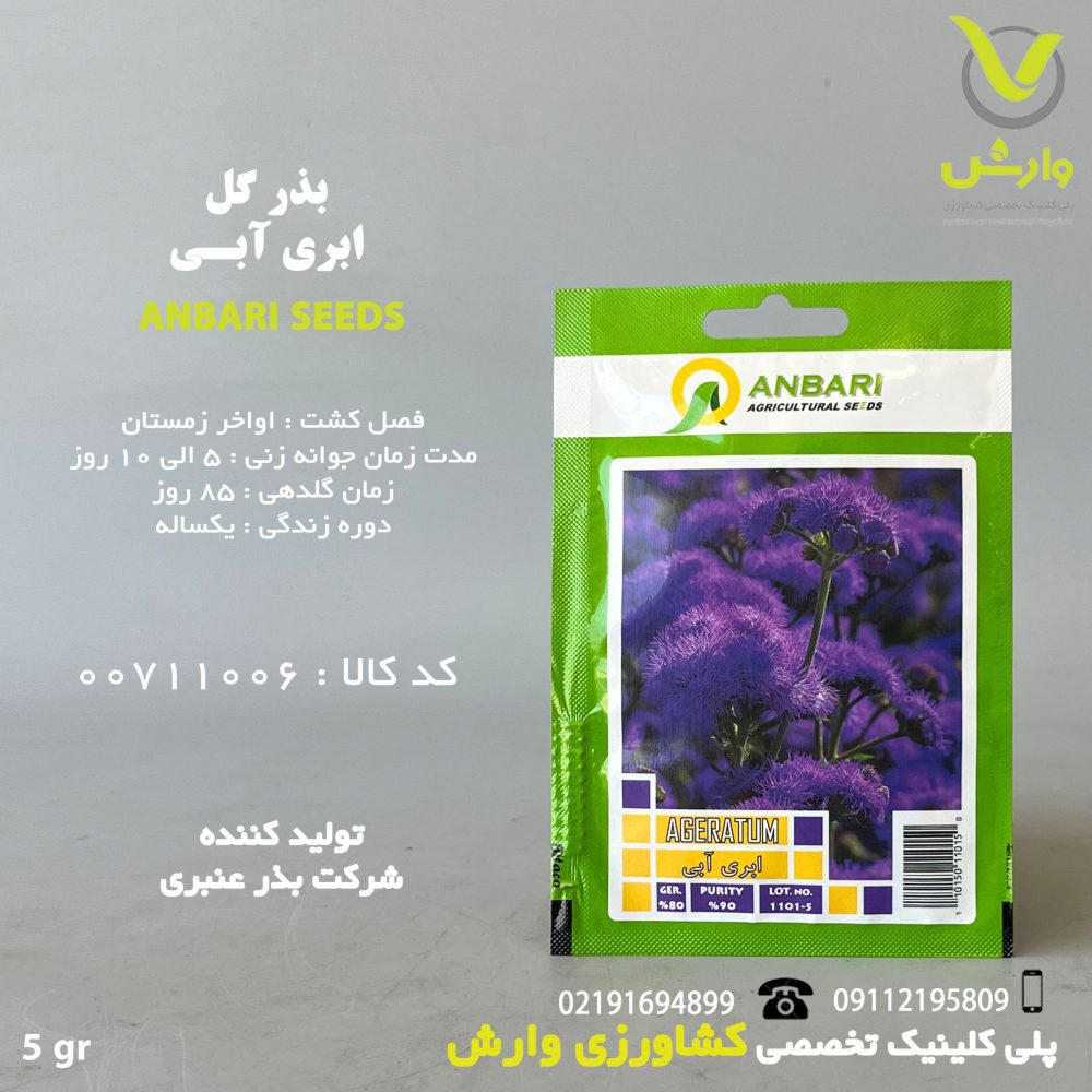 بذر گل ابری آبی عنبری بسته بندی خانگی