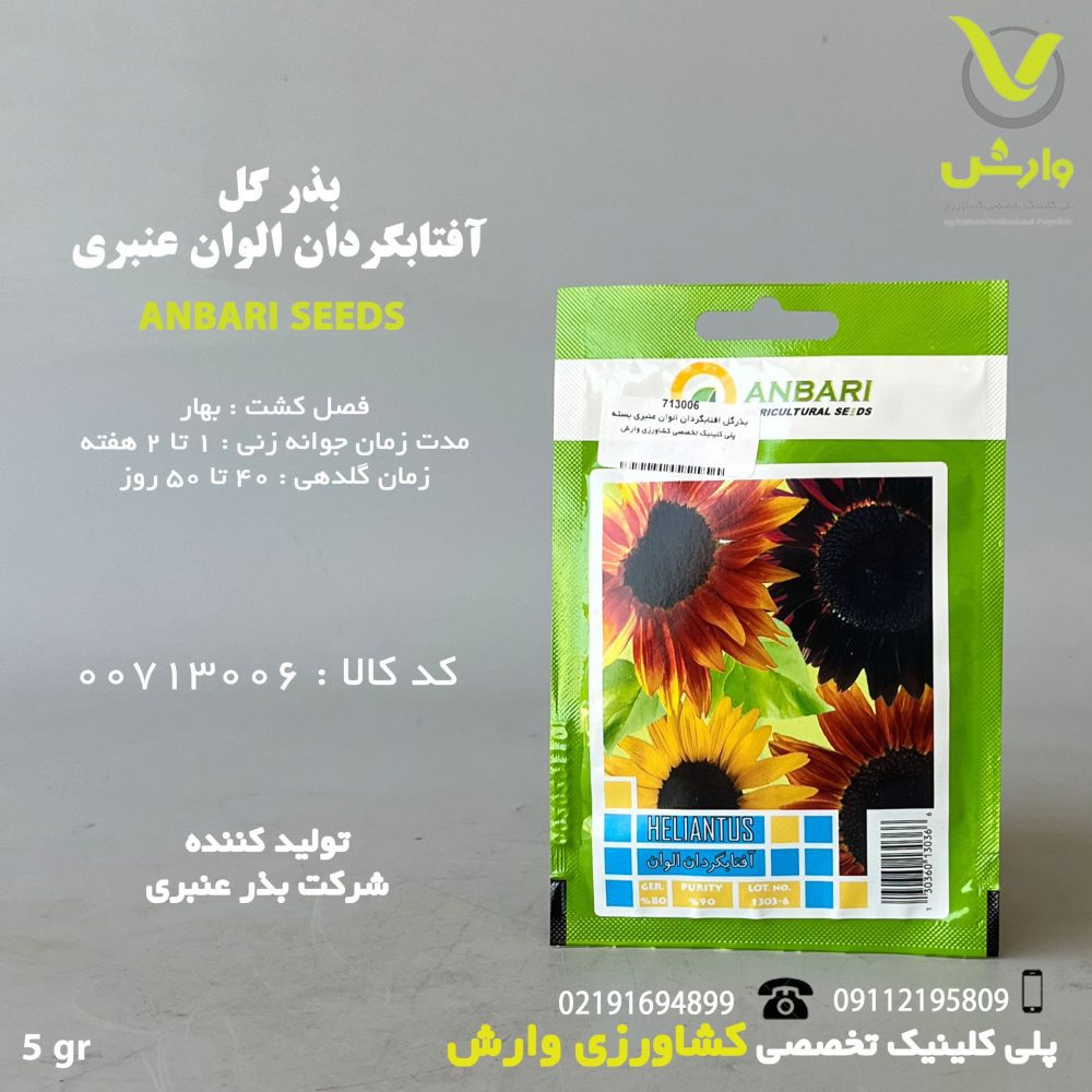 بذرگل افتابگردان الوان عنبری بسته بندی خانگی