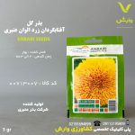 بذرگل افتابگردان زرد عنبری بسته بندی خانگی