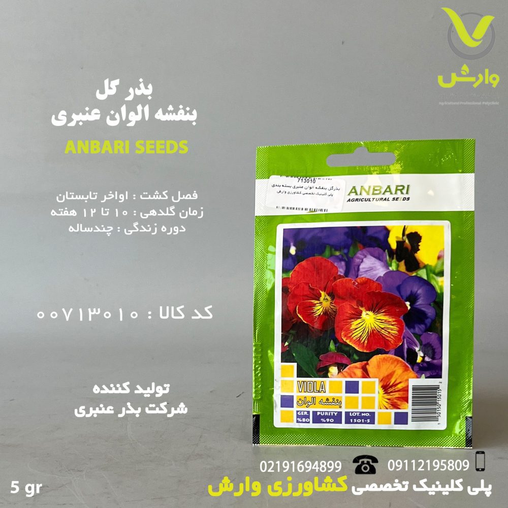 بذرگل بنفشه الوان عنبری بسته بندی خانگی