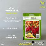 بذرگل تاج خروس عنبری بسته بندی خانگی