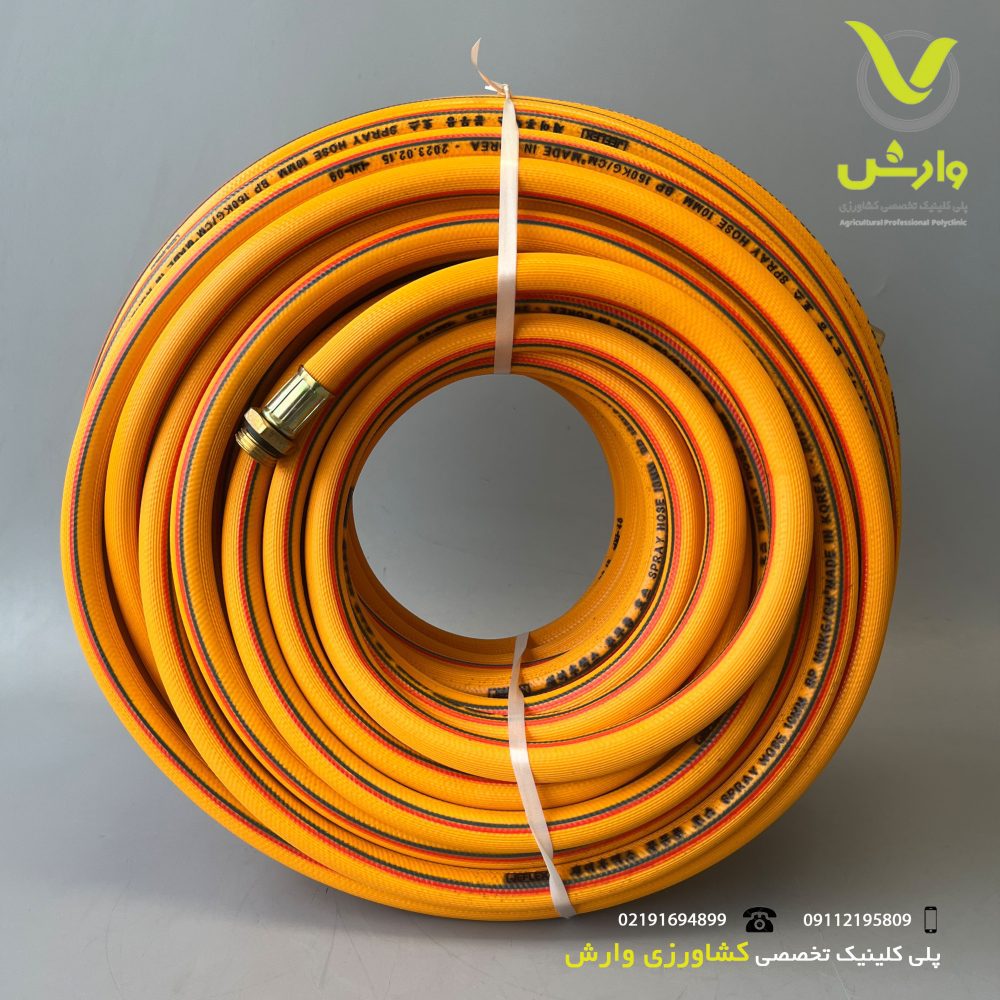 10 پشت scaled