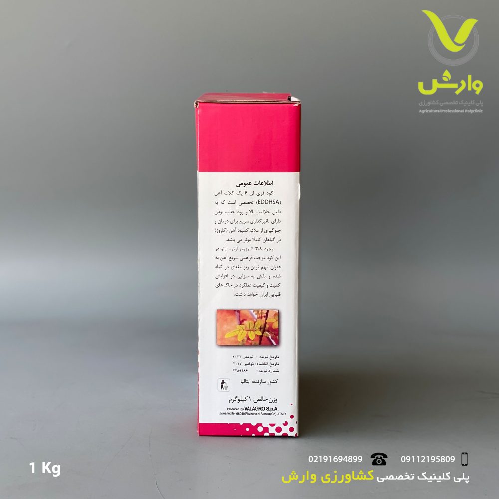 لن پشتت scaled