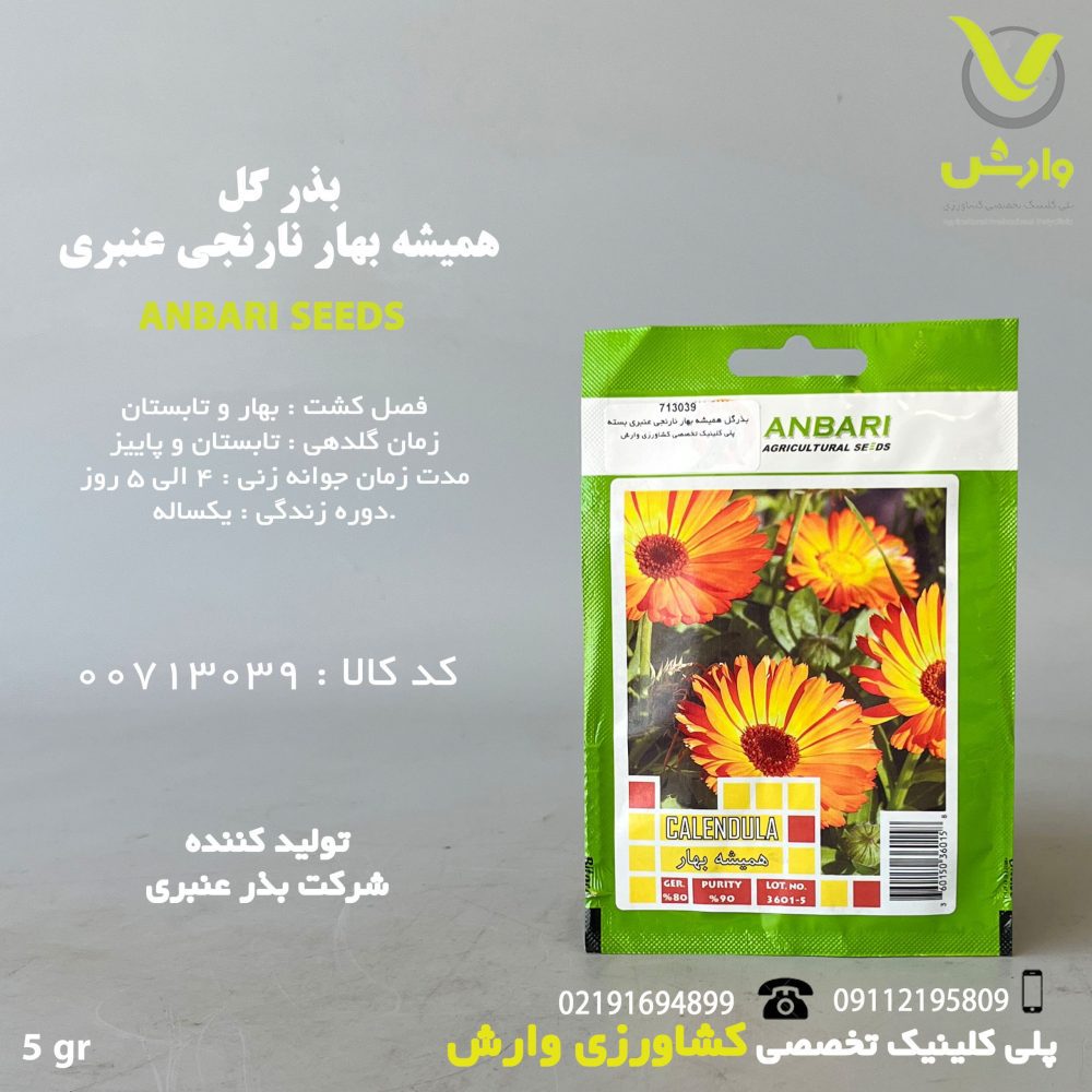 بذرگل همیشه بهار نارنجی عنبری بسته بندی خانگی