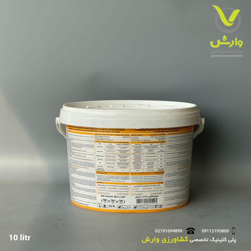 10 پشت scaled
