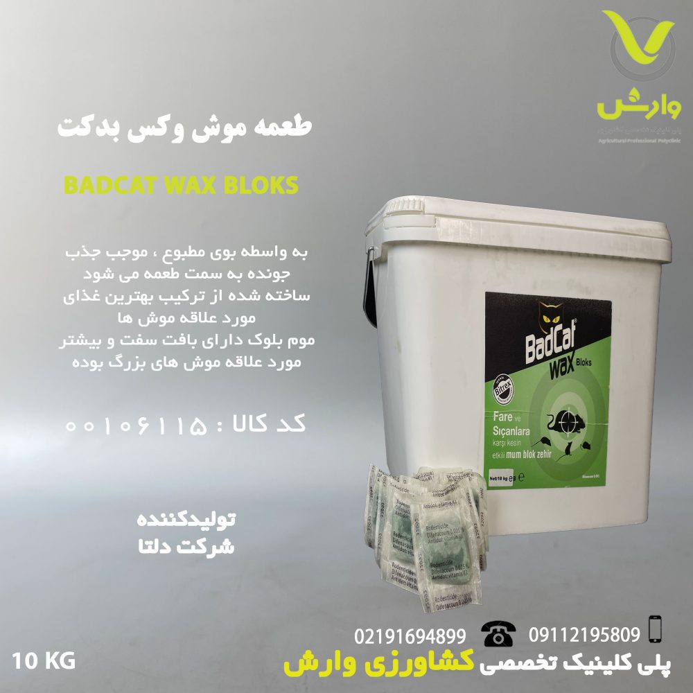 بدکت جلو scaled