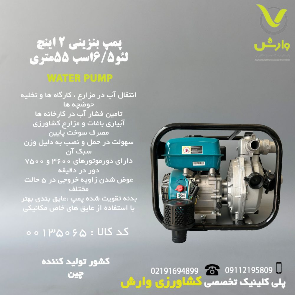 پمپ بنزینی 2 اینچ لئو 6/5 اسب 55 متری  LGP20-H - Image 1