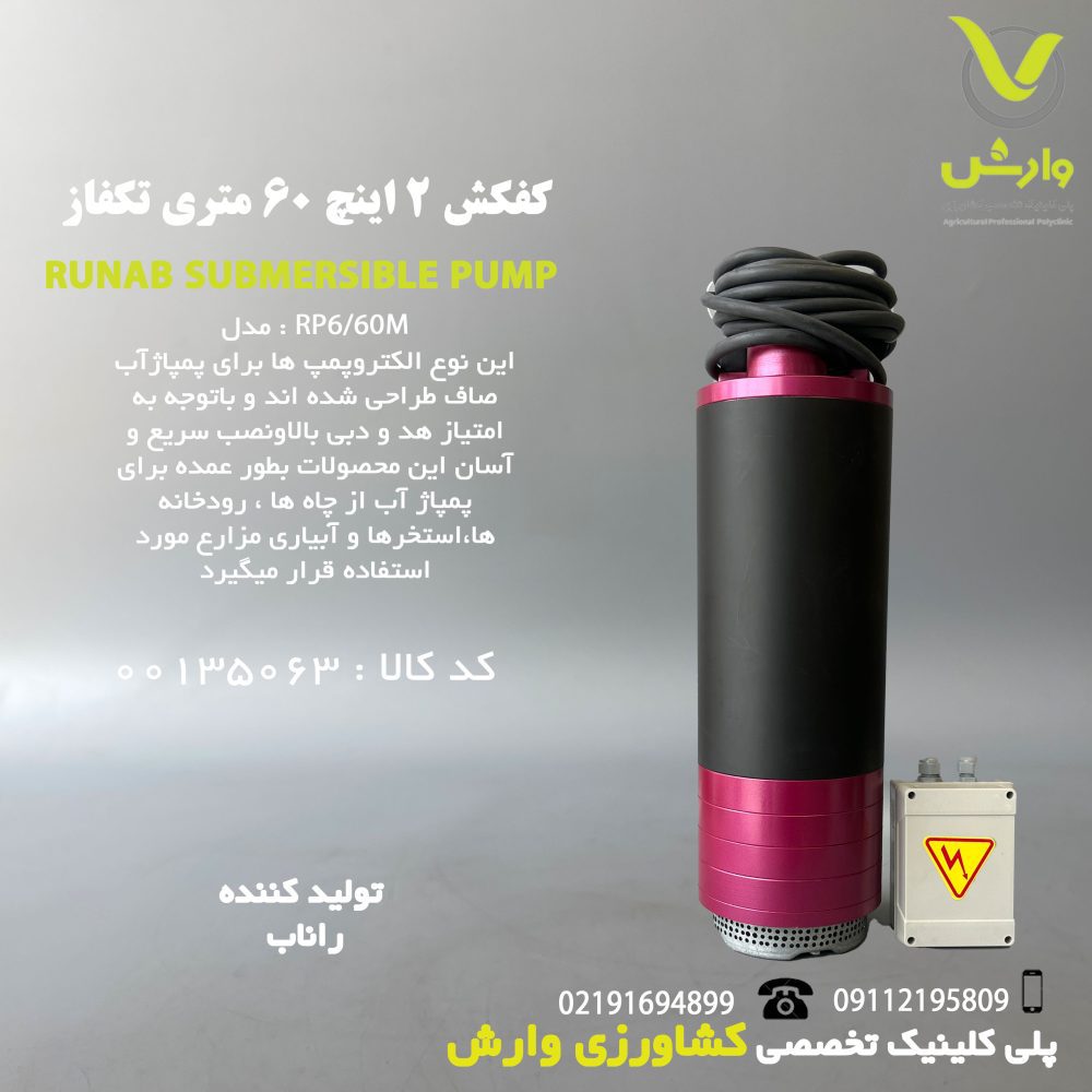 کفکش 2 اینچ 60 متری تکفاز راناب RP6/60M