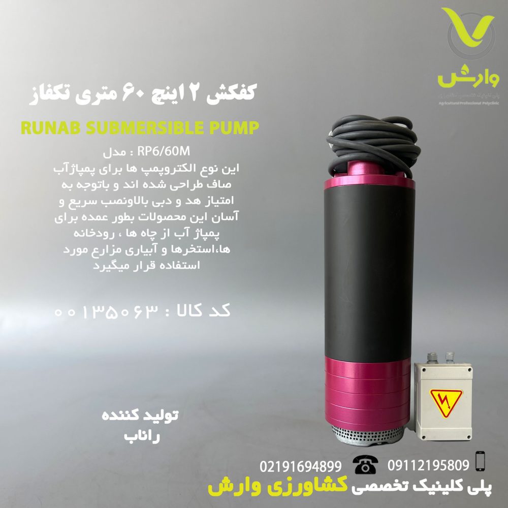کفکش 2 اینچ 60 متری تکفاز راناب  RP6/60M - Image 1