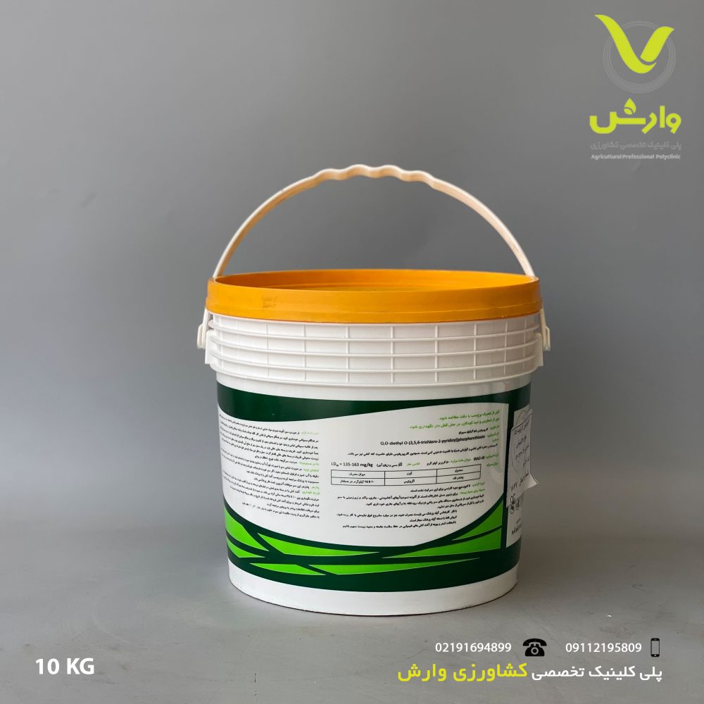 10 پشت scaled